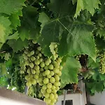 Capo Le Vigne 3*