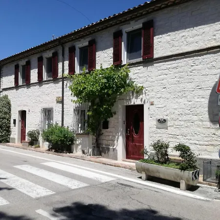 Capo Le Vigne