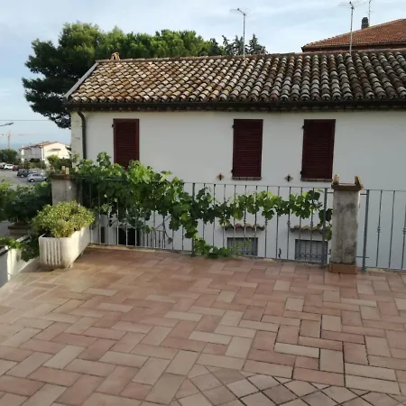 Capo Le Vigne *