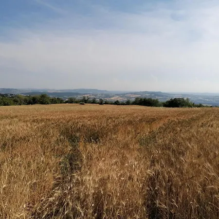 Capo Le Vigne 3* Sirolo